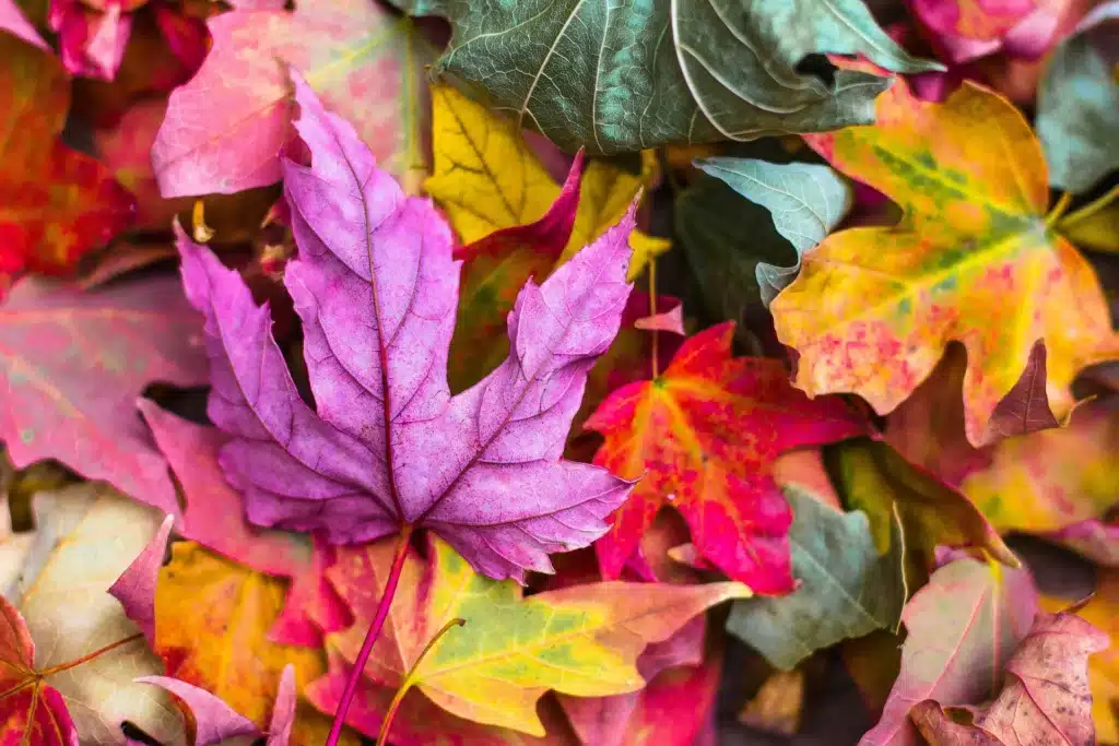 blog 9.18.26 fall is the perfect time for brand audit